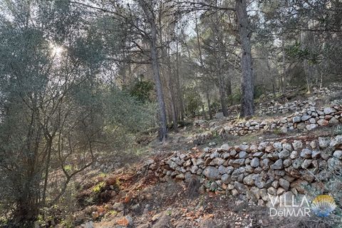 Helårsgrund i Jalon, Alicante, Jalon - € 210.000 | Ref: P-601 - foto 6